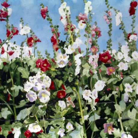 Hollyhocks
22x30
SOLD - Collector in Missouri Hollyhocks
22x30
SOLD - Collector in Missouri